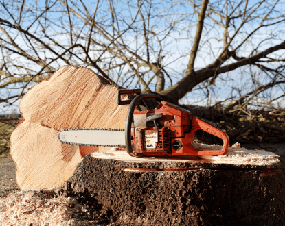 <p style="font-family: 'Poppins', sans-serif; font-weight: 700; font-size:24px;">TREE REMOVAL SERVICE
</p>