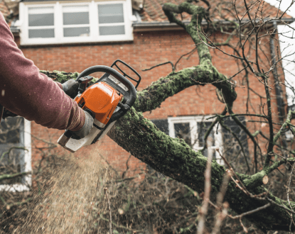 <p style="font-family: 'Poppins', sans-serif; font-weight: 700; font-size:24px;">TREE CUTTING
</p>